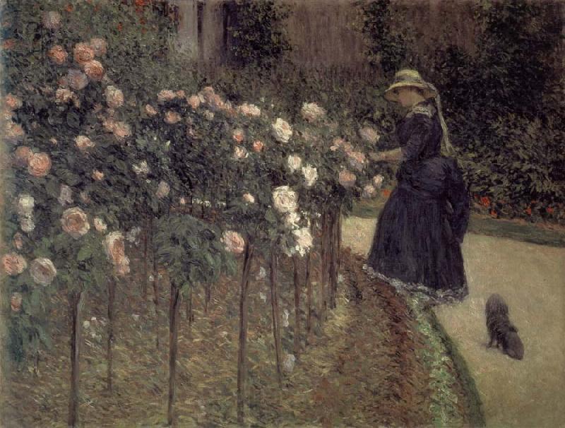 Gustave Caillebotte Roses-The Garden in Petit-Gennevilliers